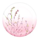 Luminarc New Model plates